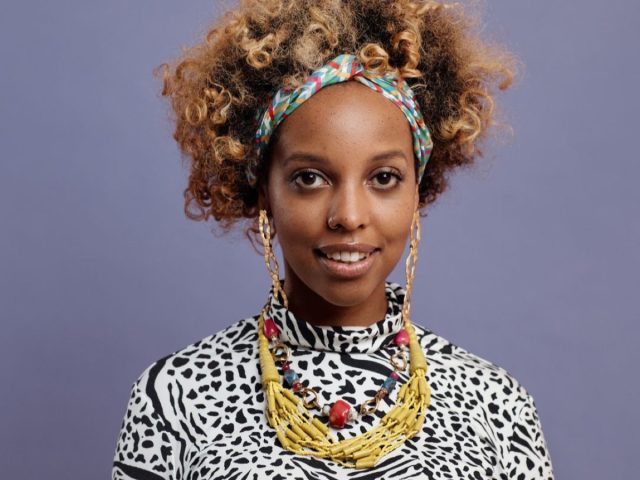 Accessoires pour maintenir et styliser un afro puff