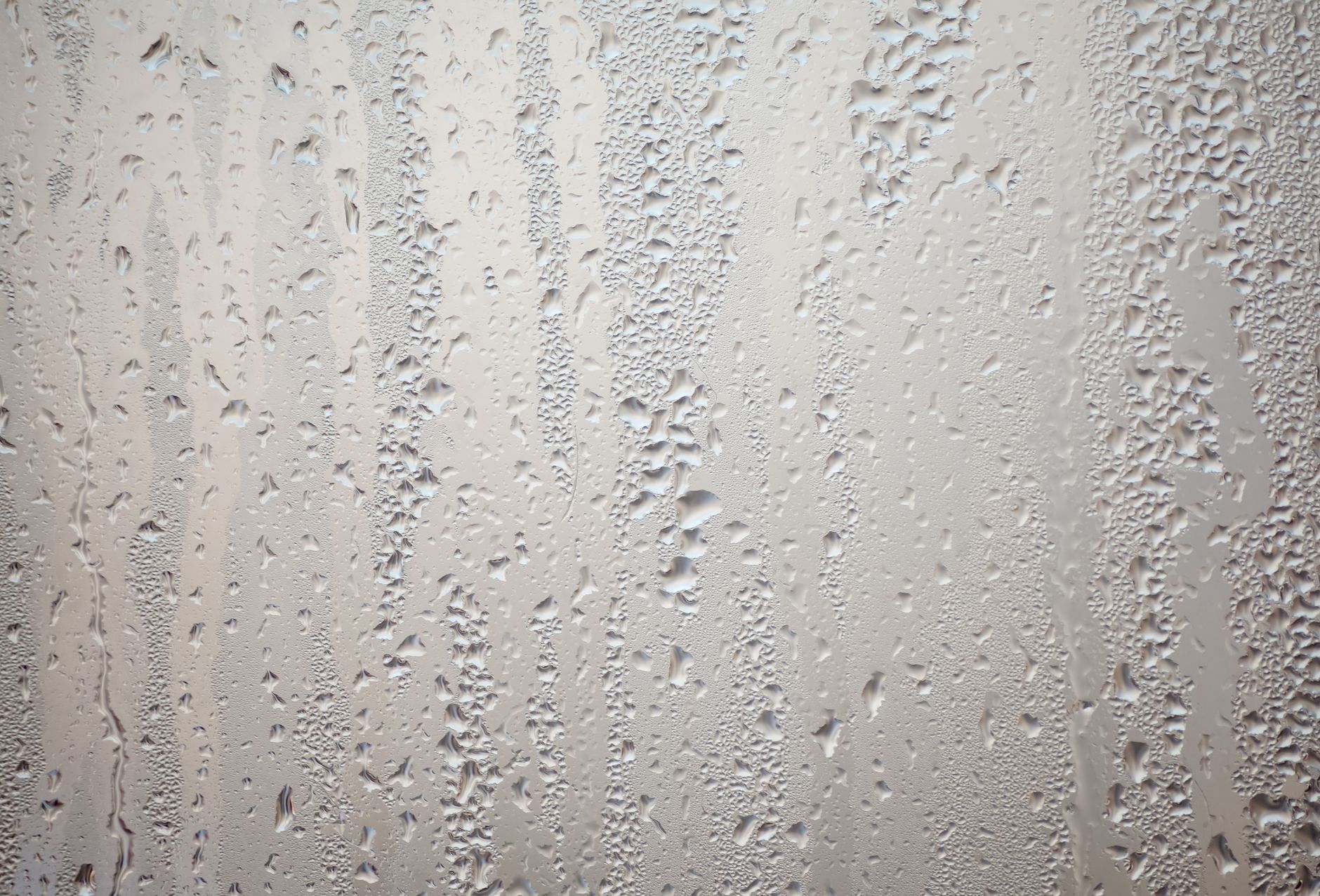 8 astuces incontournables pour un cuir chevelu sain et hydraté