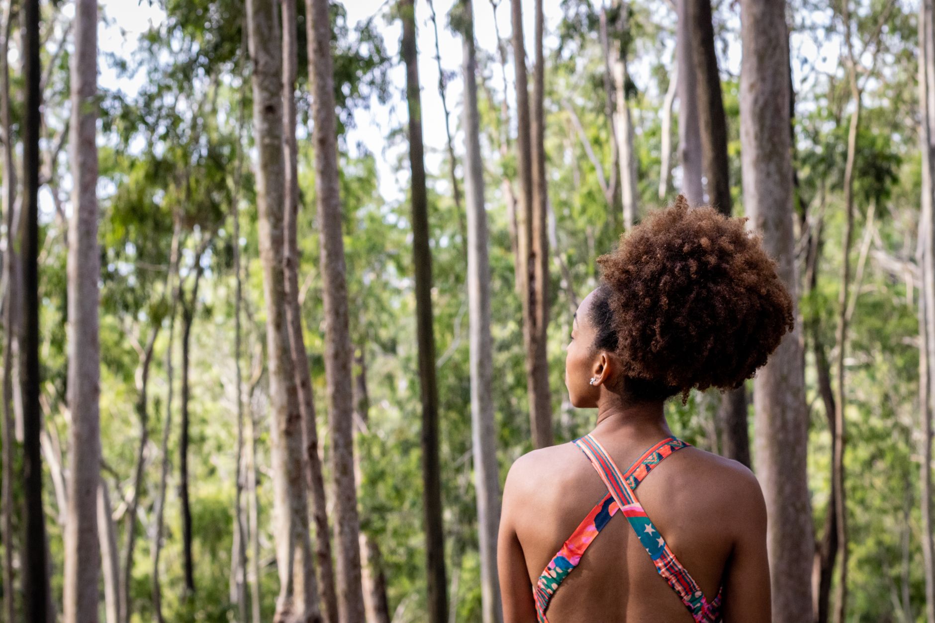 Soins naturels pour cuir chevelu afro : les secrets d'une chevelure épanouie