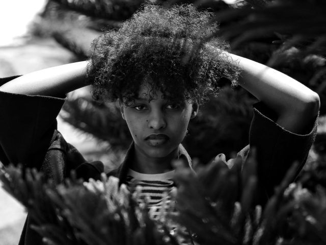Les Meilleurs Produits Pour Cheveux Afro : Chute et Vitalité