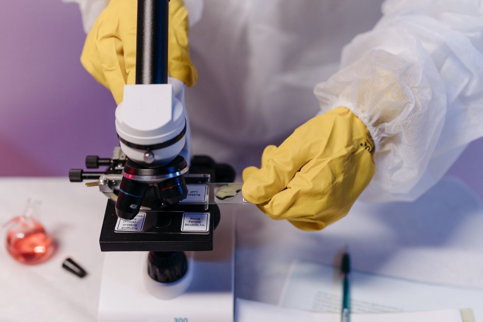 Recherche en laboratoire sur cellules capillaires au microscope